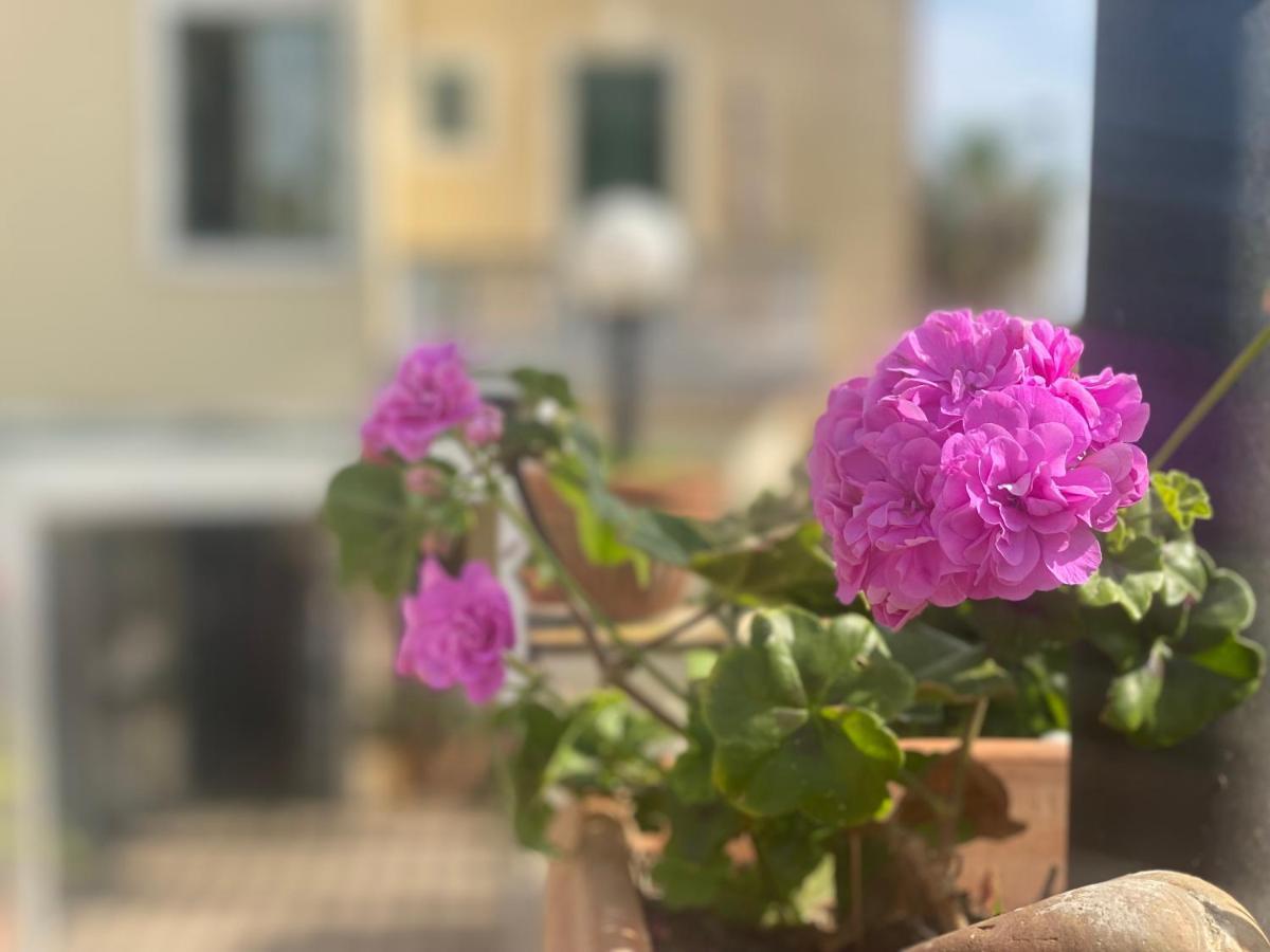 Villino Gregoraci Relais Bed & Breakfast Santa Marinella Exterior photo