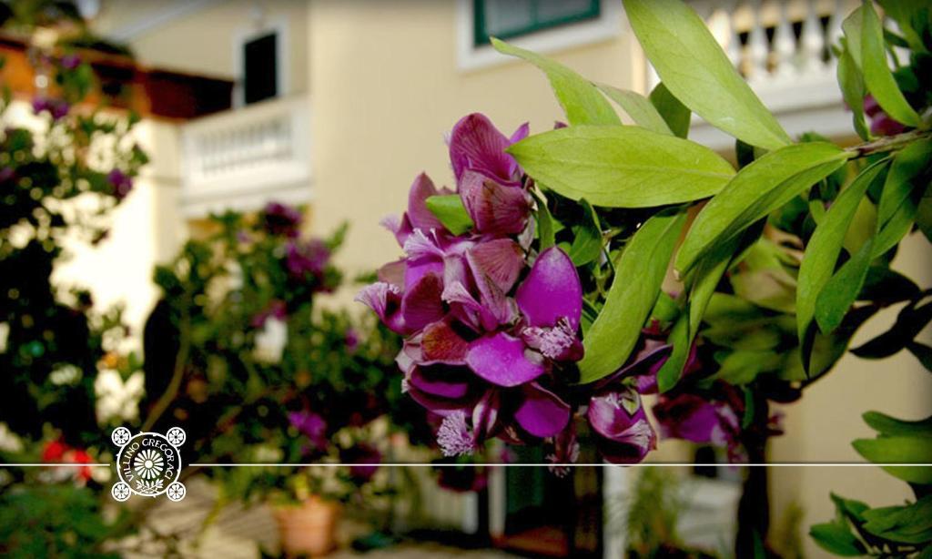 Villino Gregoraci Relais Bed & Breakfast Santa Marinella Room photo
